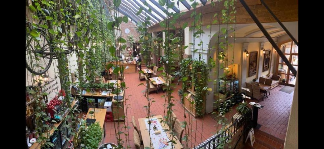 Pensiunea Gasthaus Alte Post Sighişoara Exteriér fotografie