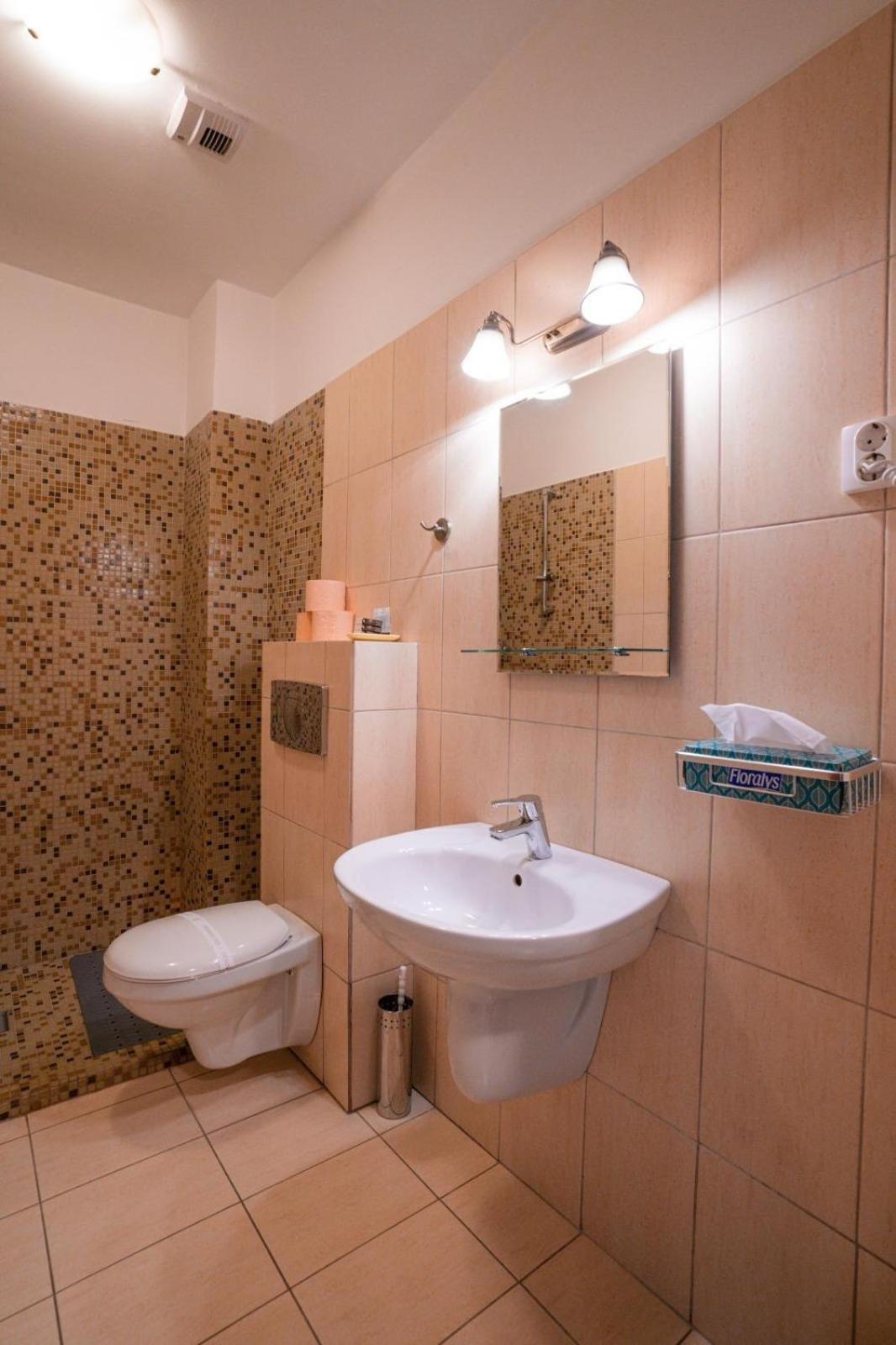 Pensiunea Gasthaus Alte Post Sighişoara Exteriér fotografie