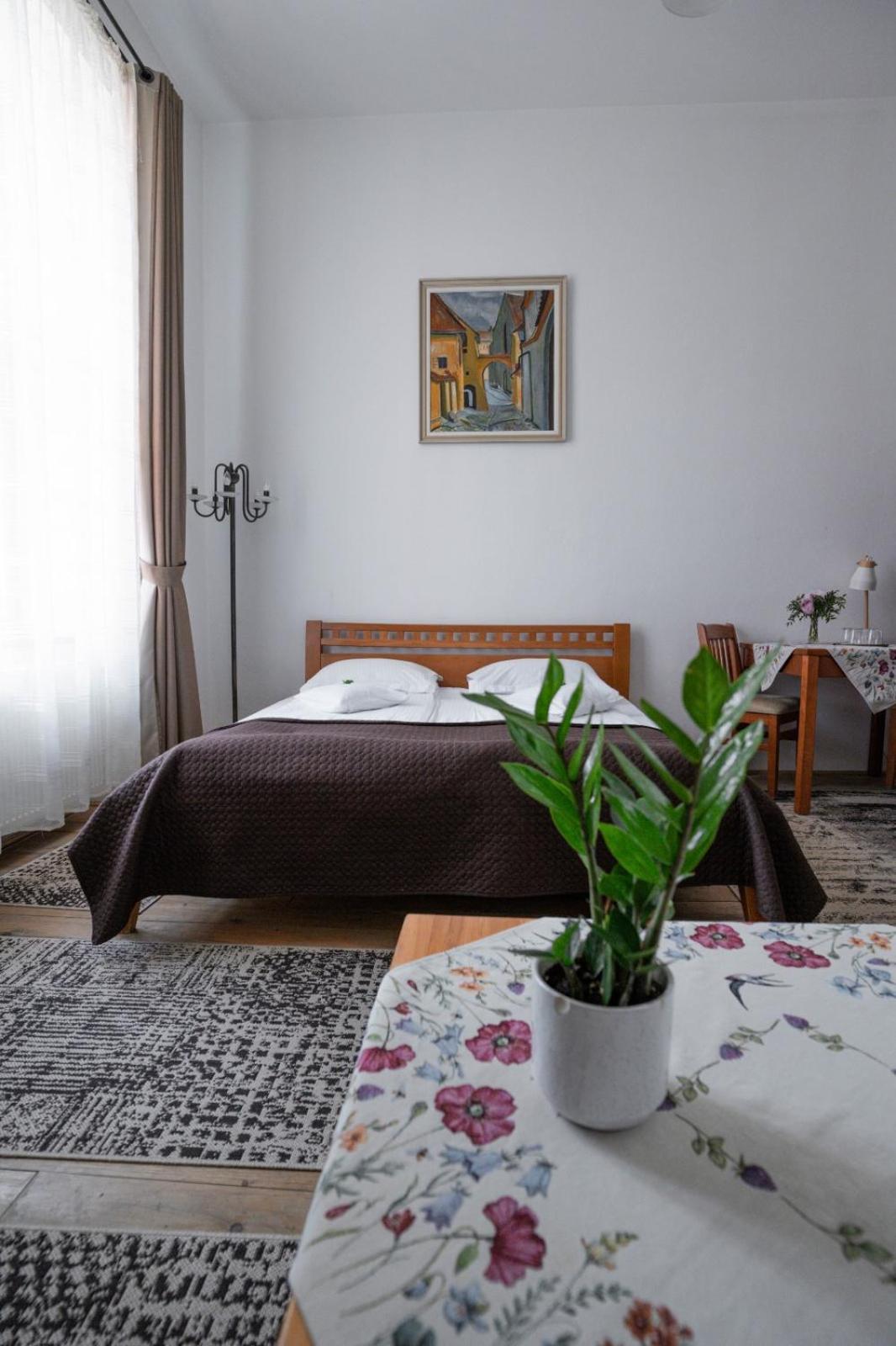 Pensiunea Gasthaus Alte Post Sighişoara Exteriér fotografie