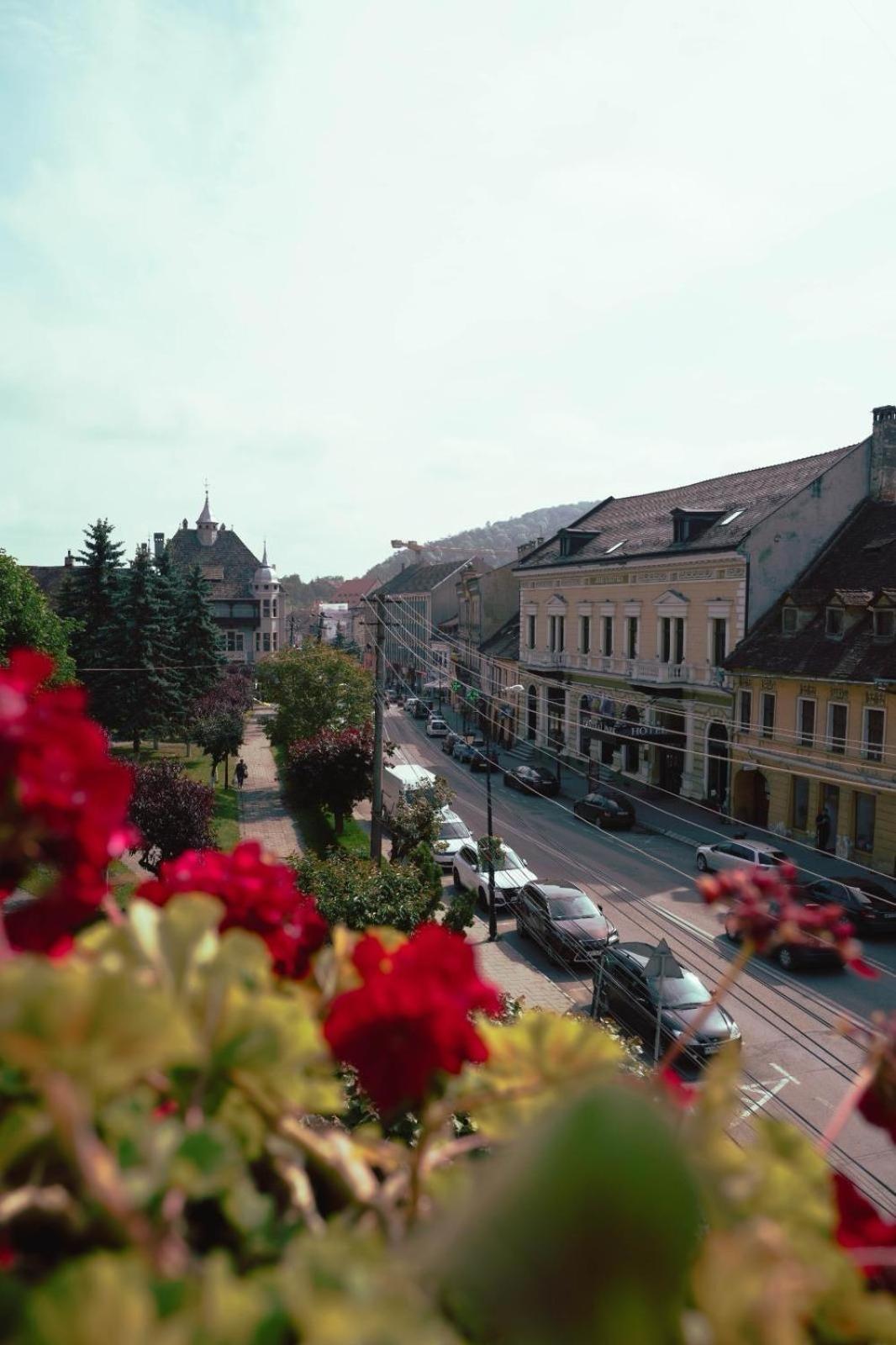 Pensiunea Gasthaus Alte Post Sighişoara Exteriér fotografie